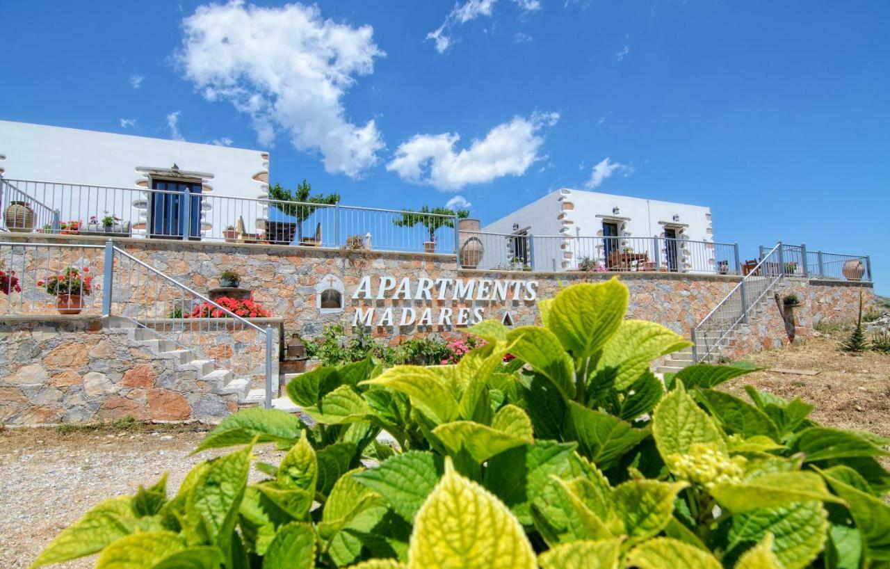 Madares Anopolis *