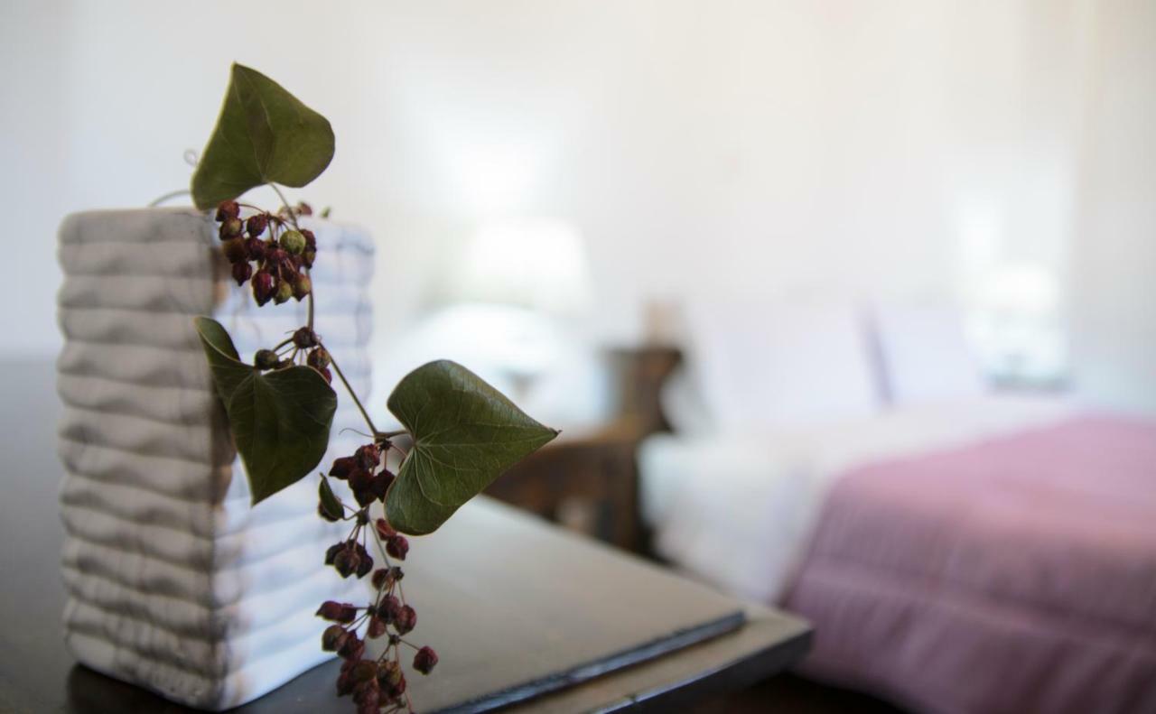 Madares Anopolis Apartment *