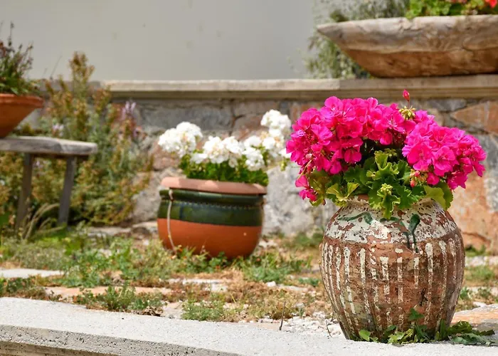 Madares Apartments Anopolis